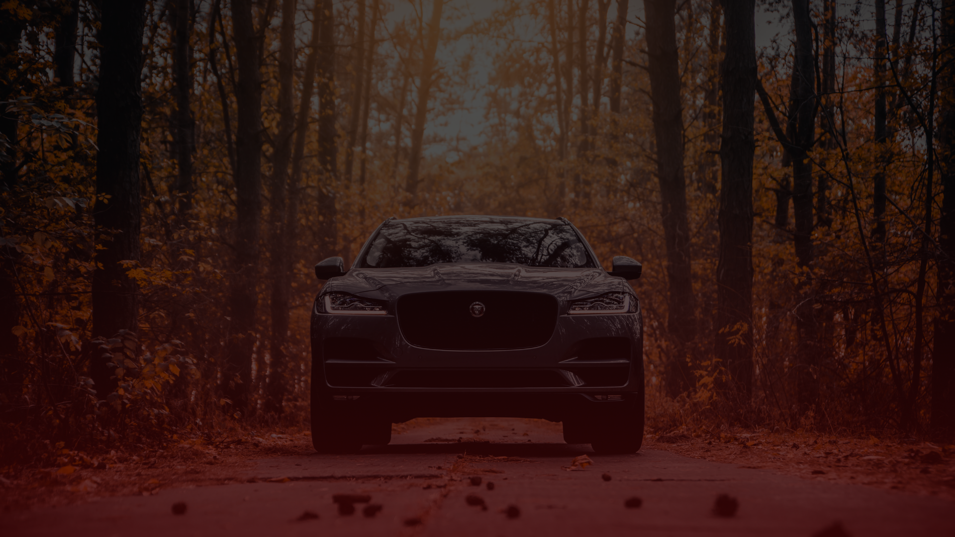 A sleek, dark-colored Jaguar is parked on a leaf-strewn forest path, surrounded by tall trees with autumn foliage. The scene is lit with a soft, warm glow, creating a serene and vintage atmosphere reminiscent of a hidden getaway for any skilled Toronto mechanic. EuroMechanic | Top Reviewed Auto Repair Shop | Greater Toronto and Guelph | Visit Euromechanic