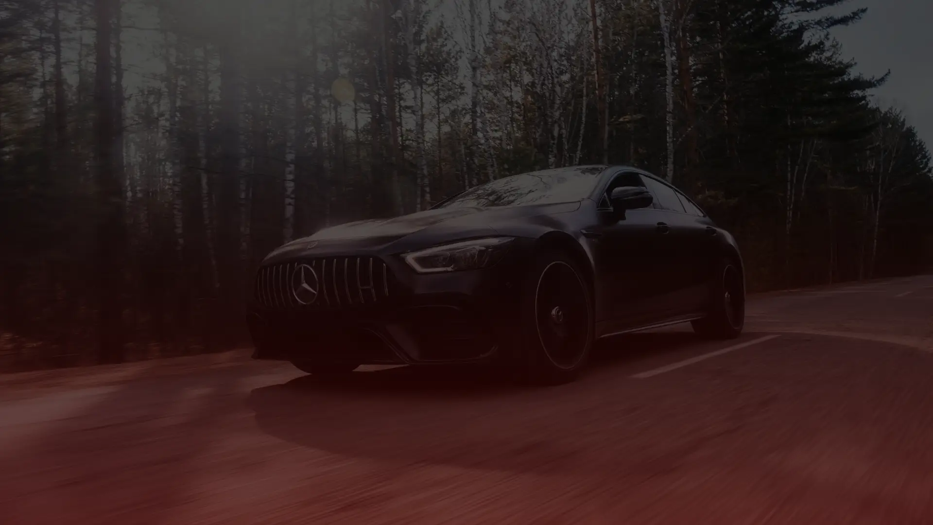 A sleek, black Mercedes sports car drives along a forested road. Sunlight filters through the trees, casting shadows on the cars shiny surface. This blend of speed and elegance amid a natural setting speaks to the meticulous work of a skilled mechanic in Greater Toronto. EuroMechanic | Top Reviewed Auto Repair Shop | Greater Toronto and Guelph | Visit Euromechanic